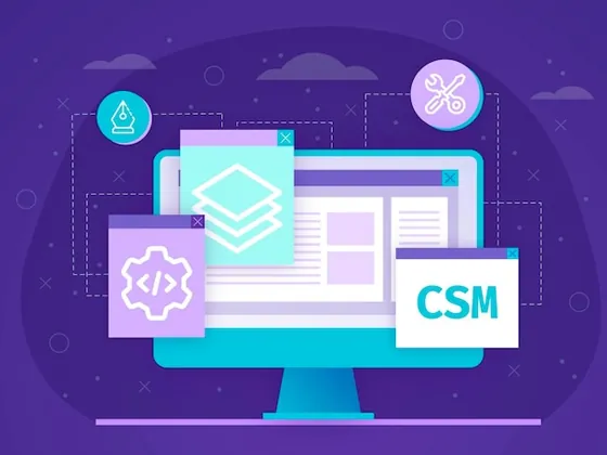 CMS & Ecommerce - Cms Ecommerce Service1
