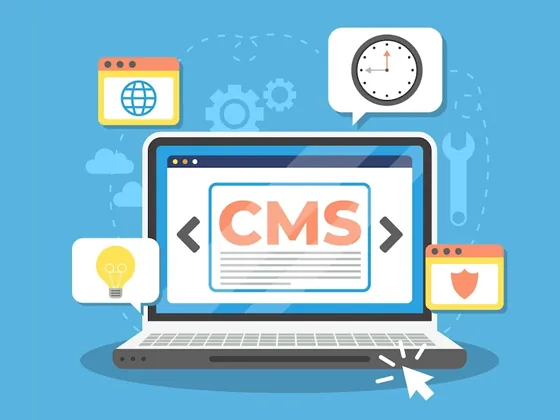 CMS & Ecommerce - Cms Ecommerce Service2