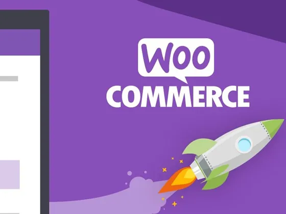 Woocommerce Web Development - Woocommerce Web Development Service1