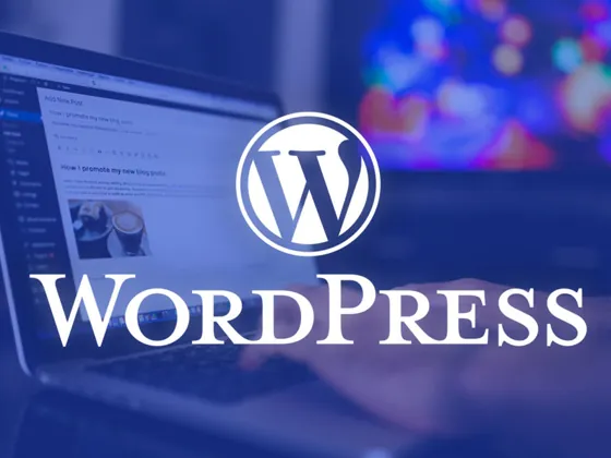 Wordpress Design & Development Service - Wordpress Development Service1