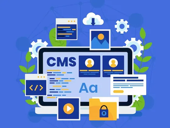 Wordpress Design & Development Service - Wordpress Development Service2